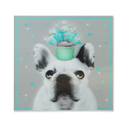 A Splash Of Colour 3D Cards Birthday Dog and Cupcake