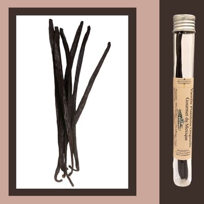 Original Planifolia vanilla from Mexico