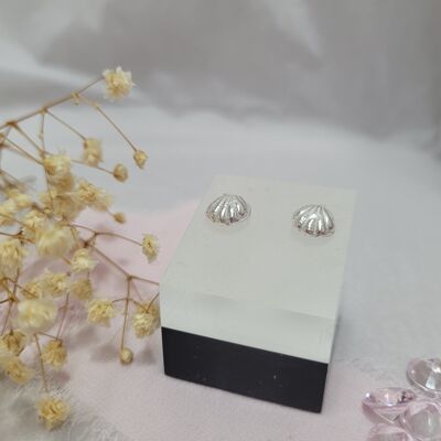 Clam Shell Studs