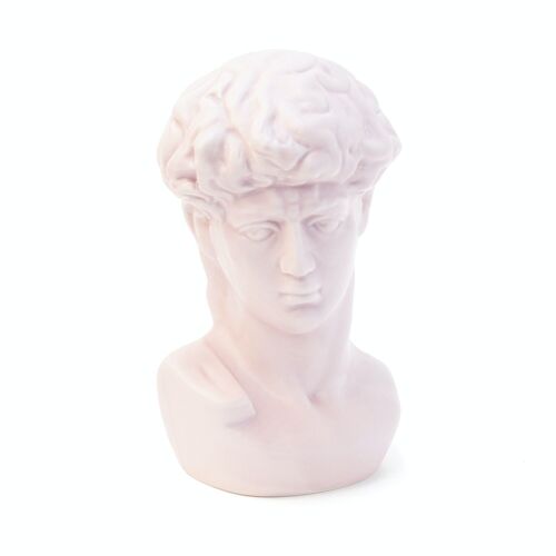 DAVID MIGUEL ANGEL PINK BUST HF