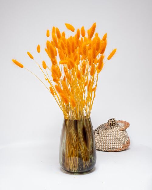 Lagurus Blekt Orange - Torkade Blommor