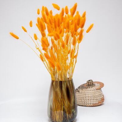 Lagurus Blekt Naranja - Torkade Blommor