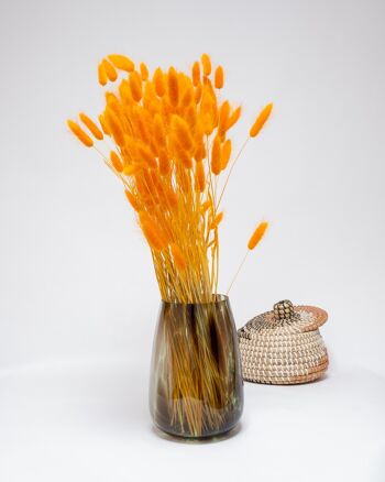Lagurus Blekt Orange - Torkade Blommor 2