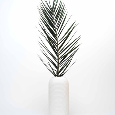 Palma fenice - Grön