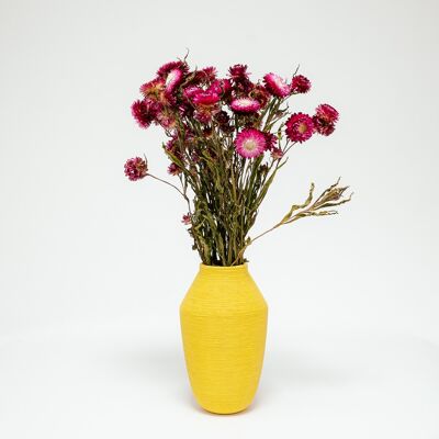 Jätte Eternell Helichrysum Mörk Rosa - Torkade Blommor