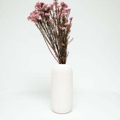 Diosmi Ljusrosa - konserverade blommor