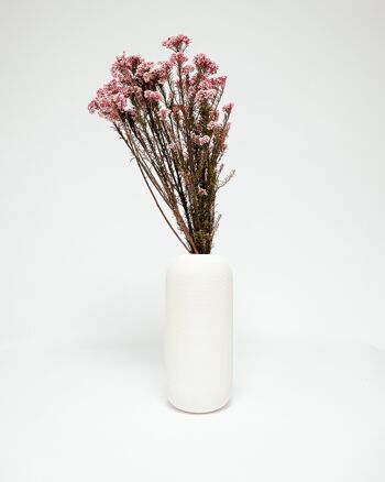 Diosmi Ljusrosa - konserverade blommor 1