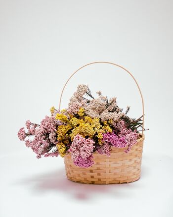 Diosmi Ljusrosa - konserverade blommor 5