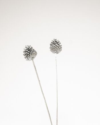 Kotte Silver - Torkade blommor 2