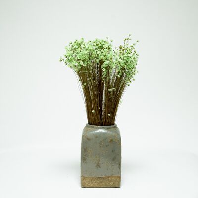 Glixia Mint Grün - Torkade Blommor