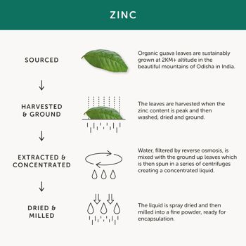 Supplément de Zinc – Végétalien – 30 Capsules 4