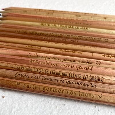 Sprout Plantable Pencils - COLOR - Quotes - 25 Pack