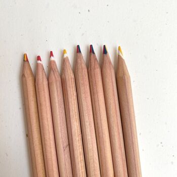 Crayons à planter Sprout - COULEUR - Citations - Lot de 25 3