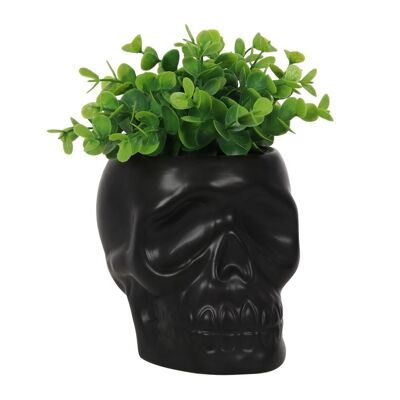 Black Skull - Plant Pot