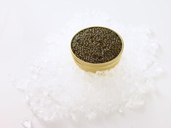 Caviar Osciètre Prestige 100g 2