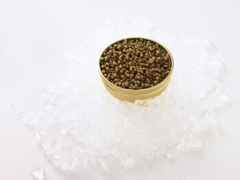 Caviar Baeri Royal 125g 2