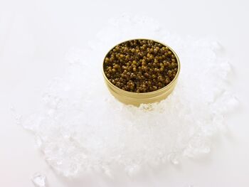 Caviar Amur Royal Gold 20g 2