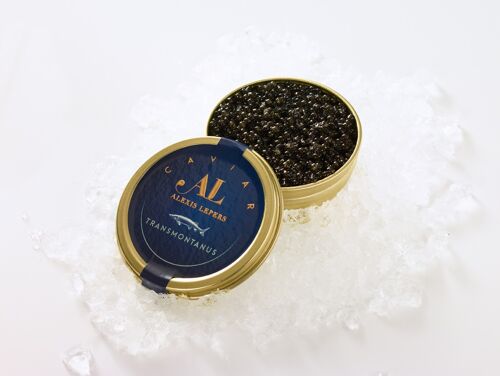 Caviar Transmontanus 20g