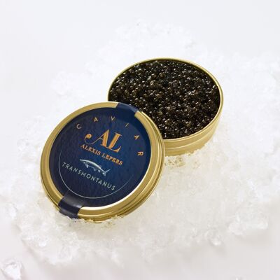 Caviar Transmontanus 30g
