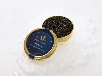 Caviar Transmontanus 200g 1