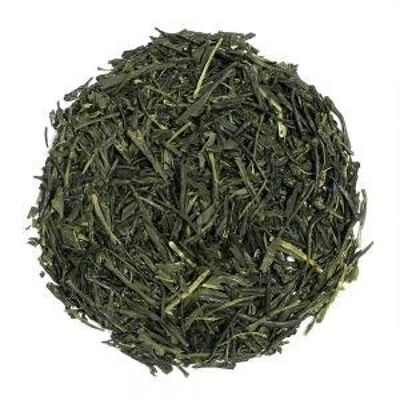 Tè verde GYOKURO ASHAHI