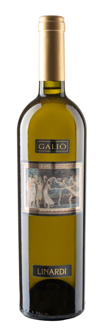 Vin blanc Galiò issu de raisins noirs Gaglioppo