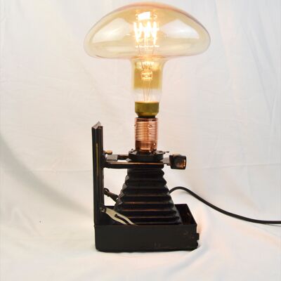 Designer table lamp