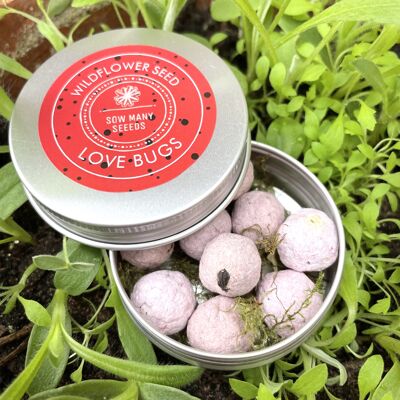 Seed Bomb 'Love Bugs' Valentinstag für Gartenliebhaber