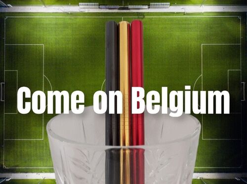 Kit de pailles "Come On Belgium"