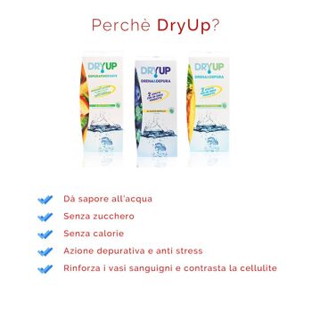 Ananas Dryup 300ml : Drainant sans sucre 3