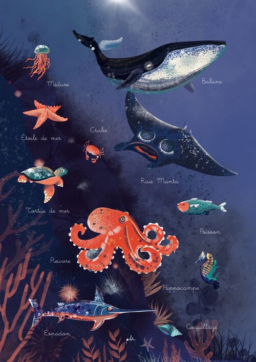 Affiche océans d'enfance