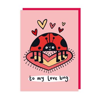 Lot de 6 cartes de Saint-Valentin Love Bug 1