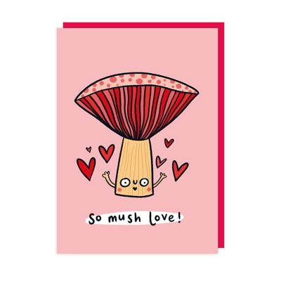 Paquete de 6 tarjetas de San Valentín de Mush