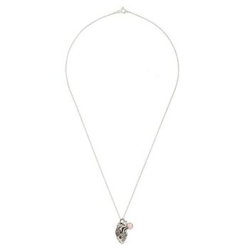 Collier Gemshine Coeur Anatomique Médecin Médecin 3