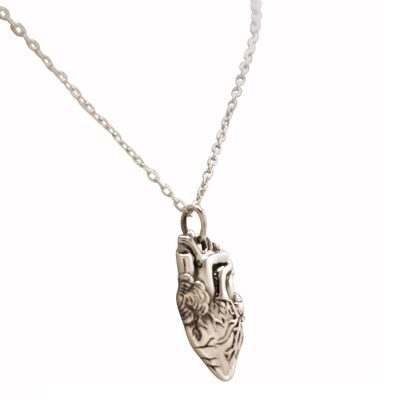 Gemshine - Anatomical Heart Necklace for Doctor, Physician