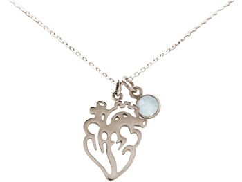 Collier Gemshine anatom. Coeur pour docteur, médecin 3