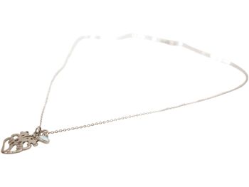 Collier Gemshine anatom. Coeur pour docteur, médecin 2