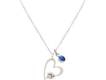 Collier Gemshine HEART Paw on my Heart: chien, patte de chat 3
