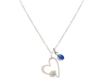 Collier Gemshine HEART Paw on my Heart: chien, patte de chat 2