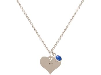 Collier Gemshine - HEART imprime sur mon cœur : chien, chat 3