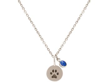 Collier Gemshine Chien Chat Patte Patte Bleu Saphir 1