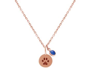 Collier Gemshine Chien Chat Patte Patte Bleu Saphir 4