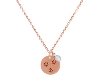 Collier Gemshine chien, pattes de pattes de chat 4