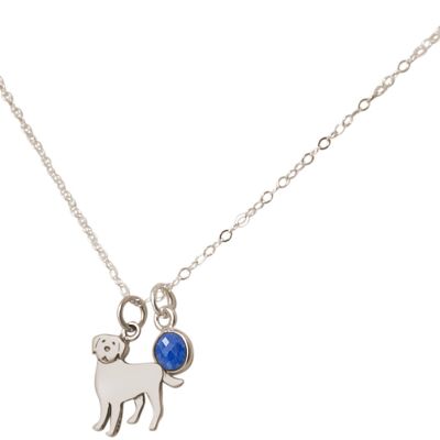 Collier Gemshine Chien Labrador Golden Retriever - Pendentif