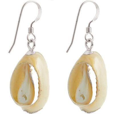 Gemshine Maritim Nautics Earrings Cowrie shell earrings