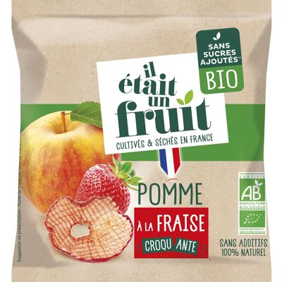 Pomme-Fraise BIO 15G