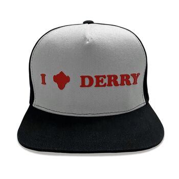 Chapitre 2 de l'informatique I Heart Derry Snapback