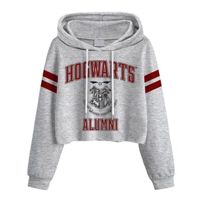 Harry Potter Hogwarts Alumni SuperHeroes Inc. Sudadera corta con capucha para mujer