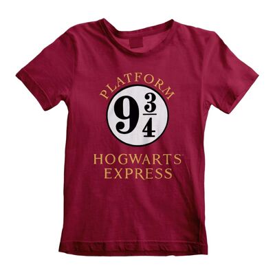 Camiseta niño Harry Potter Hogwarts Express