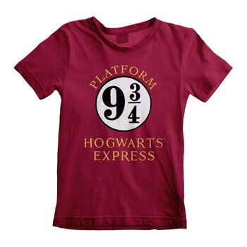 T-shirt Harry Potter Poudlard Express pour enfant
